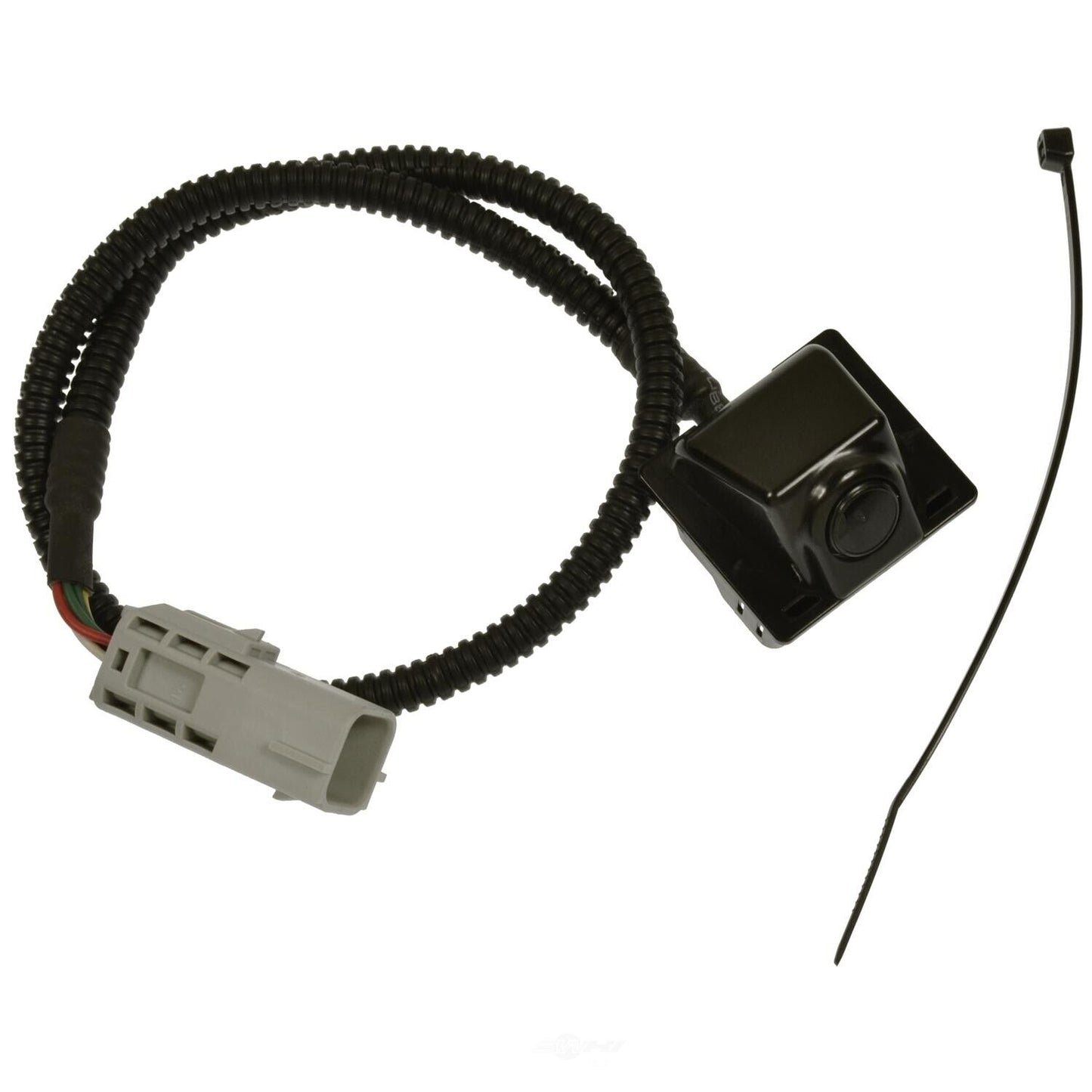 BWD PAN102 Park Assist Camera