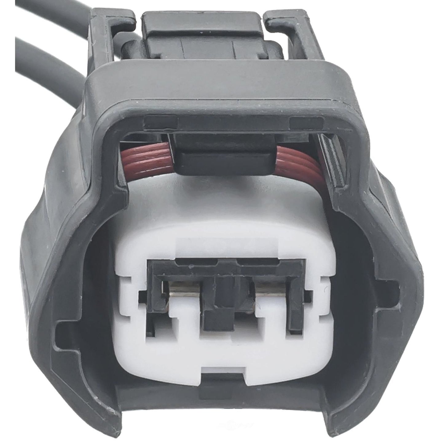 BWD PT2870 Canister Vent Solenoid Connector