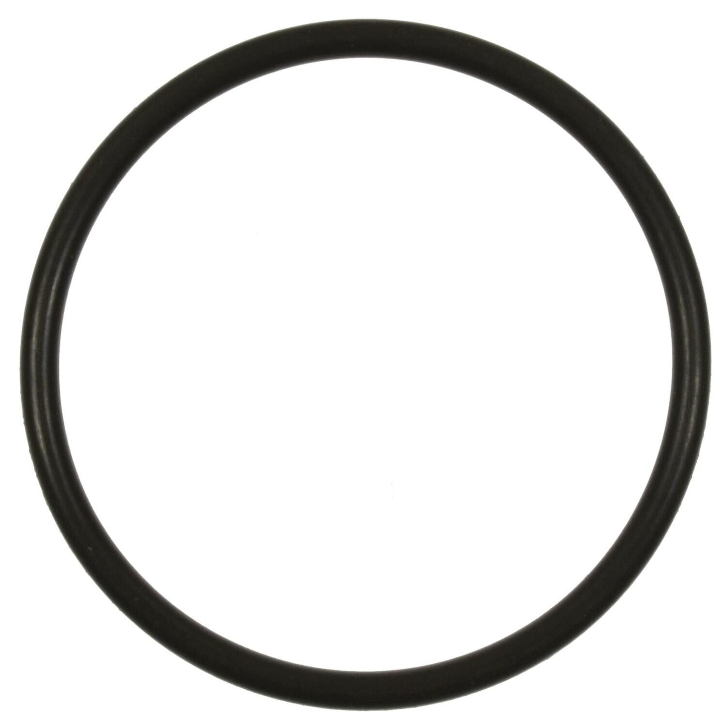 BWD RGD41 Fuel Pump O-Ring