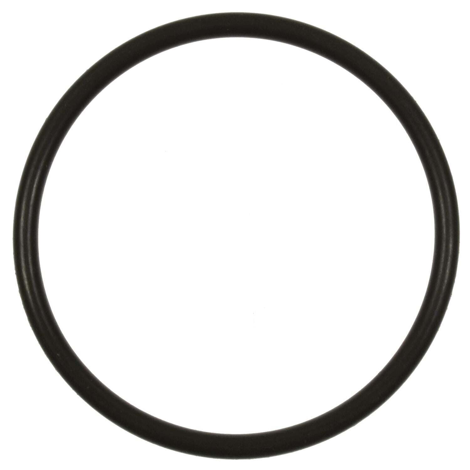 BWD RGD41 Fuel Pump O-Ring