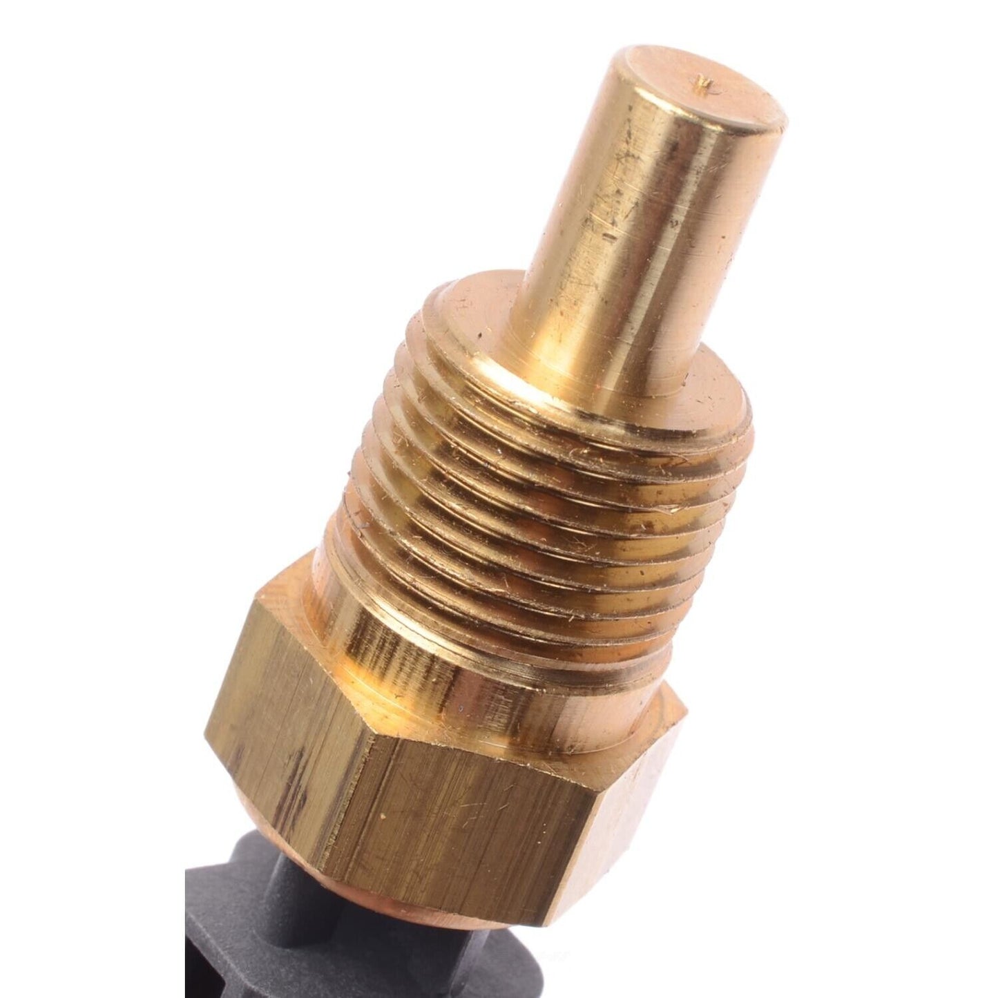 Standard TX81T Engine Coolant Temperature Sensor