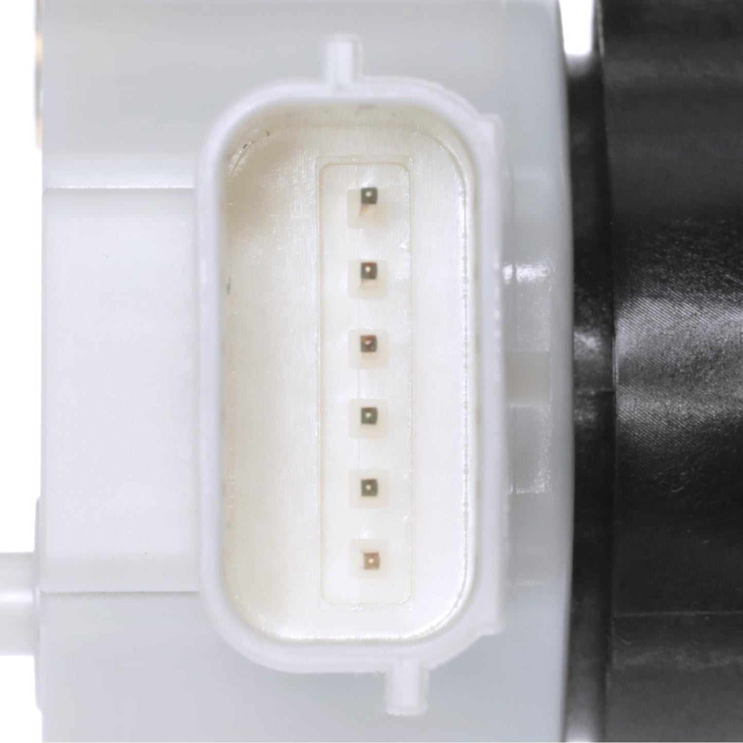 BWD S42152 