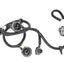 Genuine GM Parts 25958496 Tail Light Wiring Harness