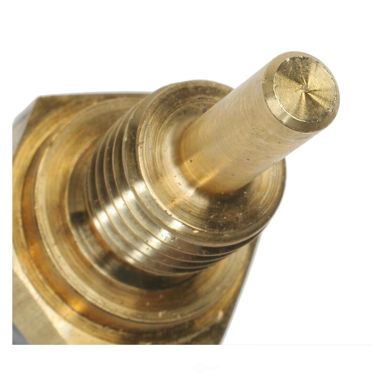 Standard TX37T Engine Coolant Temperature Sensor