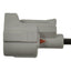 BWD PT2318 Fuel Injector Connector