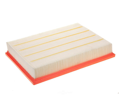 ACDelco Advantage A3169CA Air Filter