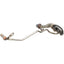 BWD ITH74 Turbocharger Oil Line