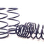 H&R SPECIAL SPRINGS 51690 Coil Spring Lowering Kit