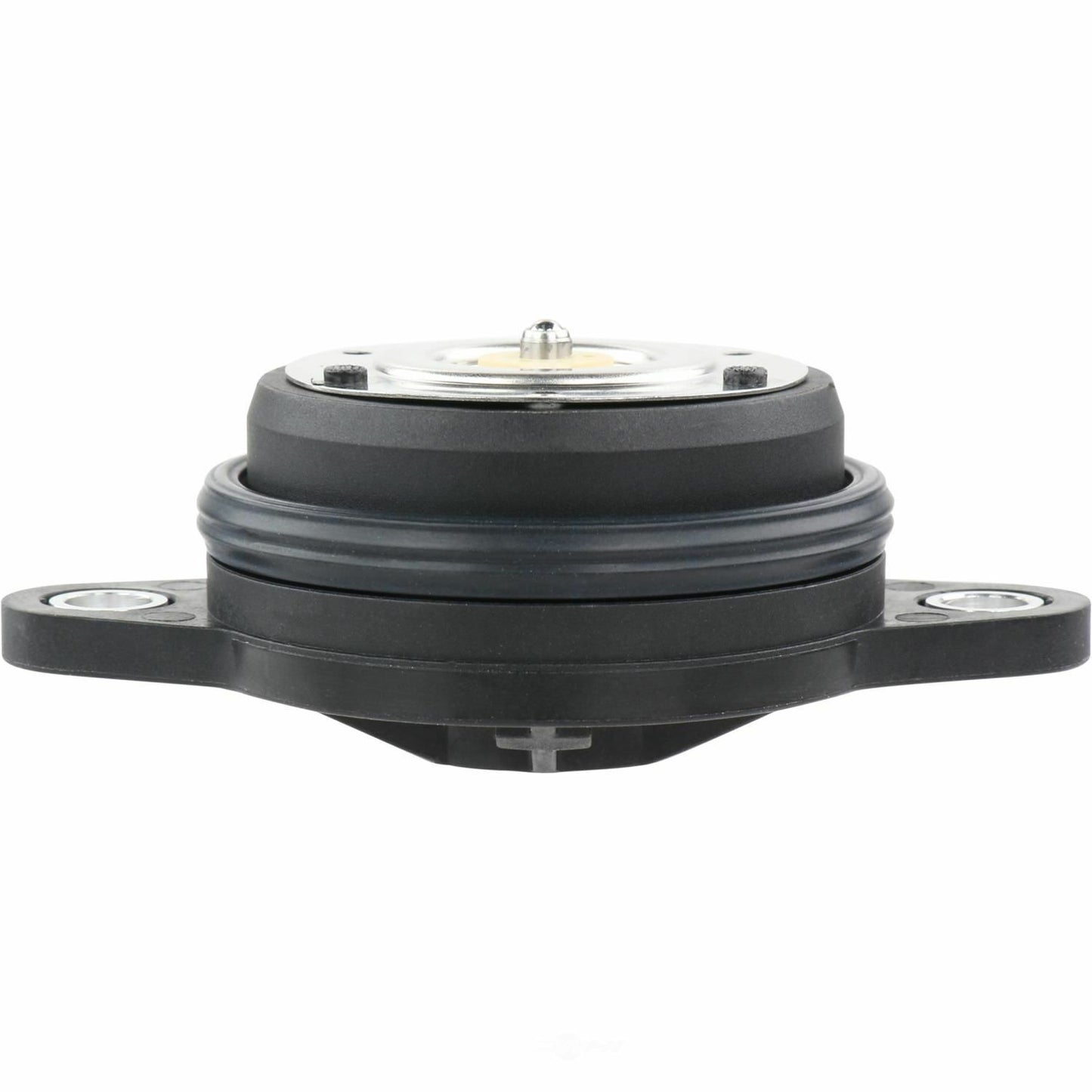 BWD VV1373 Engine Variable Valve Timing (VVT) Adjuster Magnet