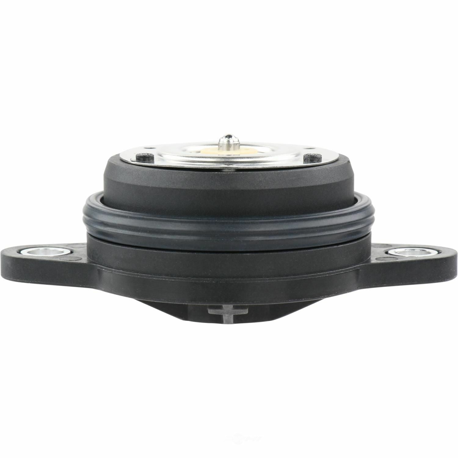 BWD VV1373 Engine Variable Valve Timing (VVT) Adjuster Magnet