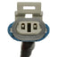 BWD ABH181 ABS Wheel Speed Sensor Wiring Harness