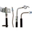 Raybestos BH384455 Brake Hydraulic Hose