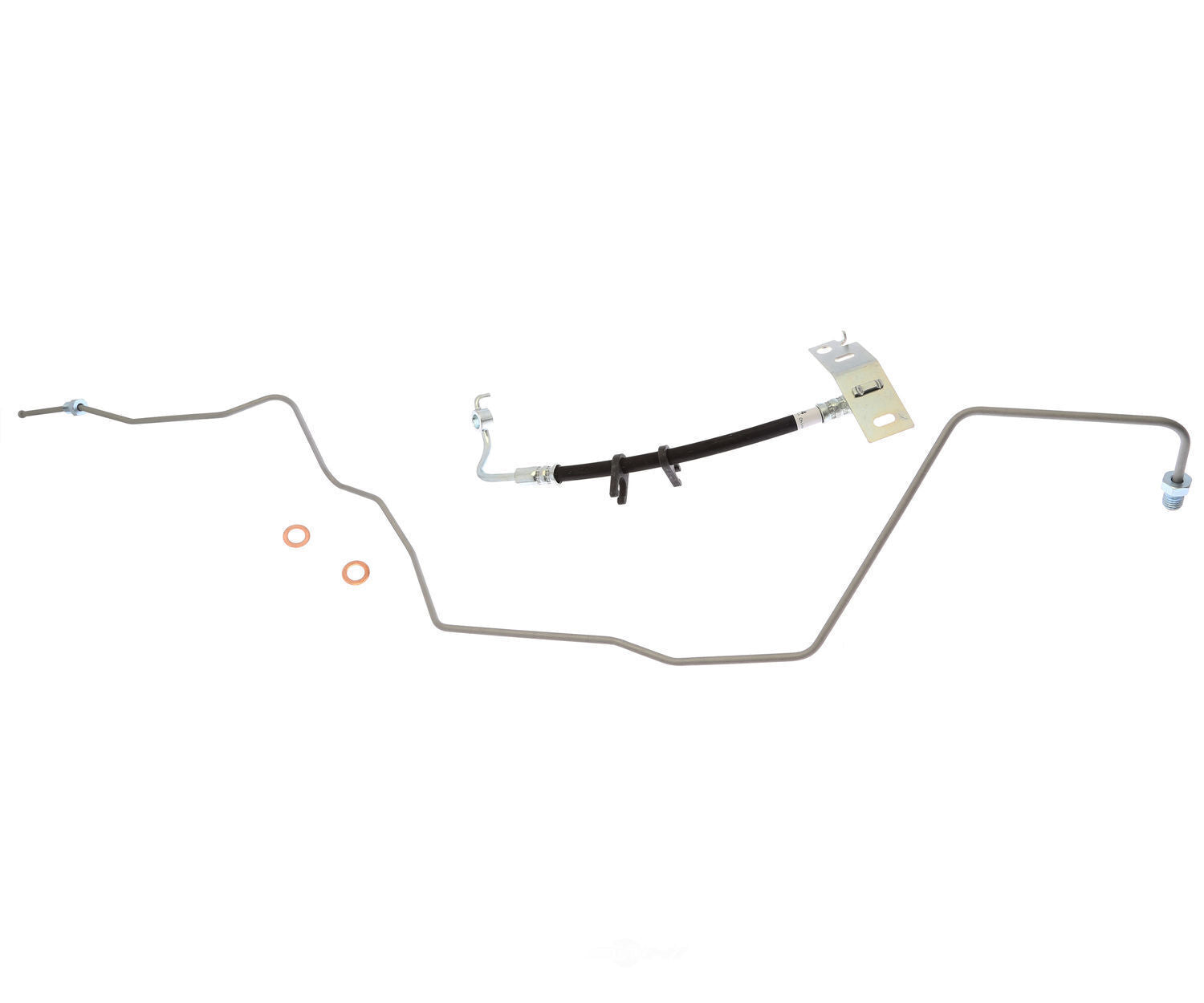 Raybestos BH384454 Brake Hydraulic Hose
