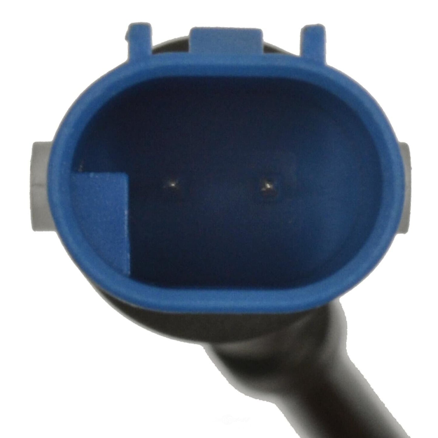 BWD WS539 Disc Brake Pad Wear Sensor