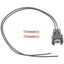 BWD PT2870 Canister Vent Solenoid Connector
