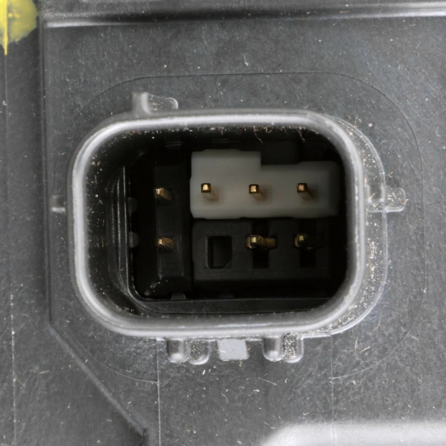 BWD CP1866 Vapor Canister
