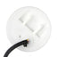Spectra Premium Industries Inc SP2362M Fuel Pump Module Assembly