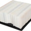 ACDelco Professional A3170C Air Filter