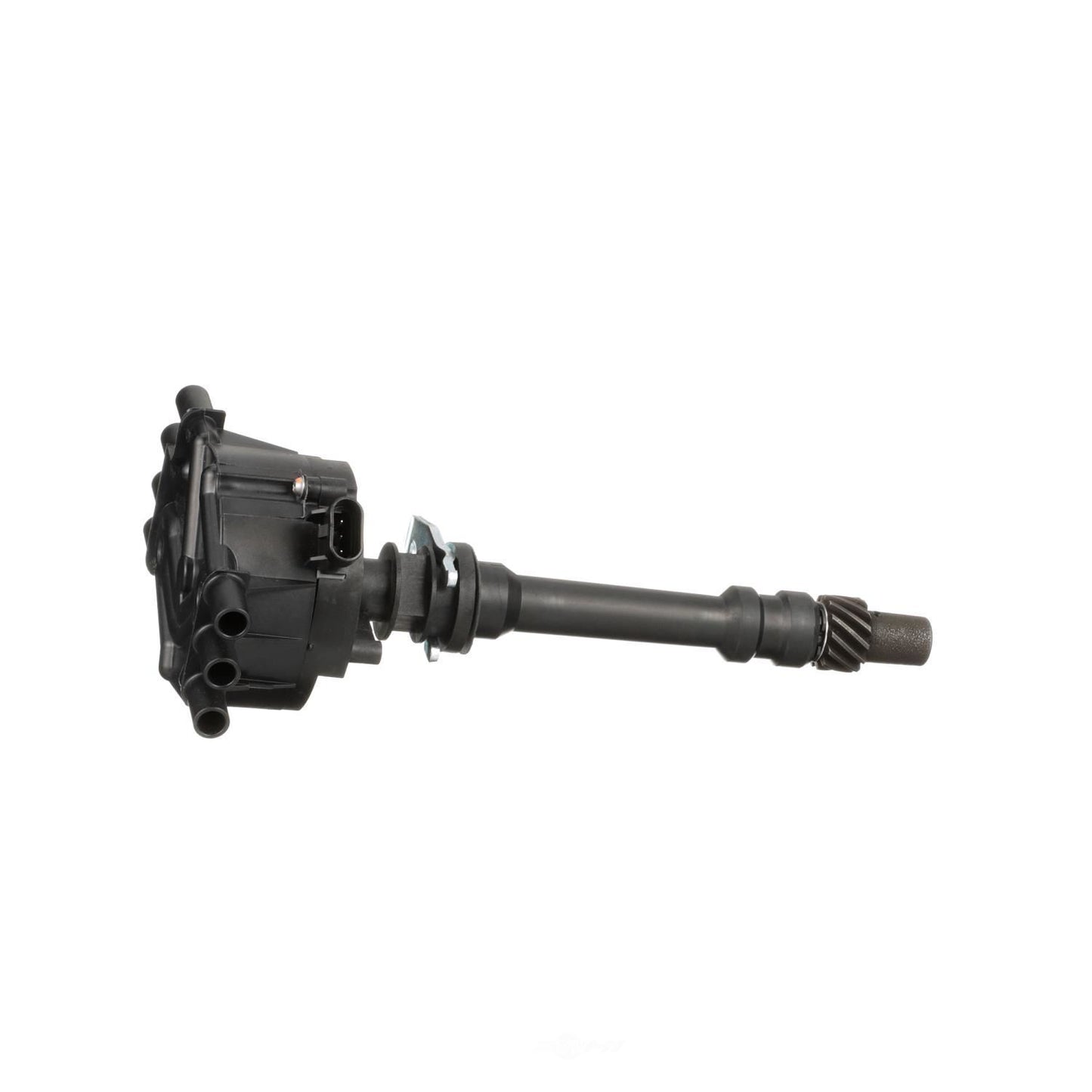 BWD DAA101 Distributor