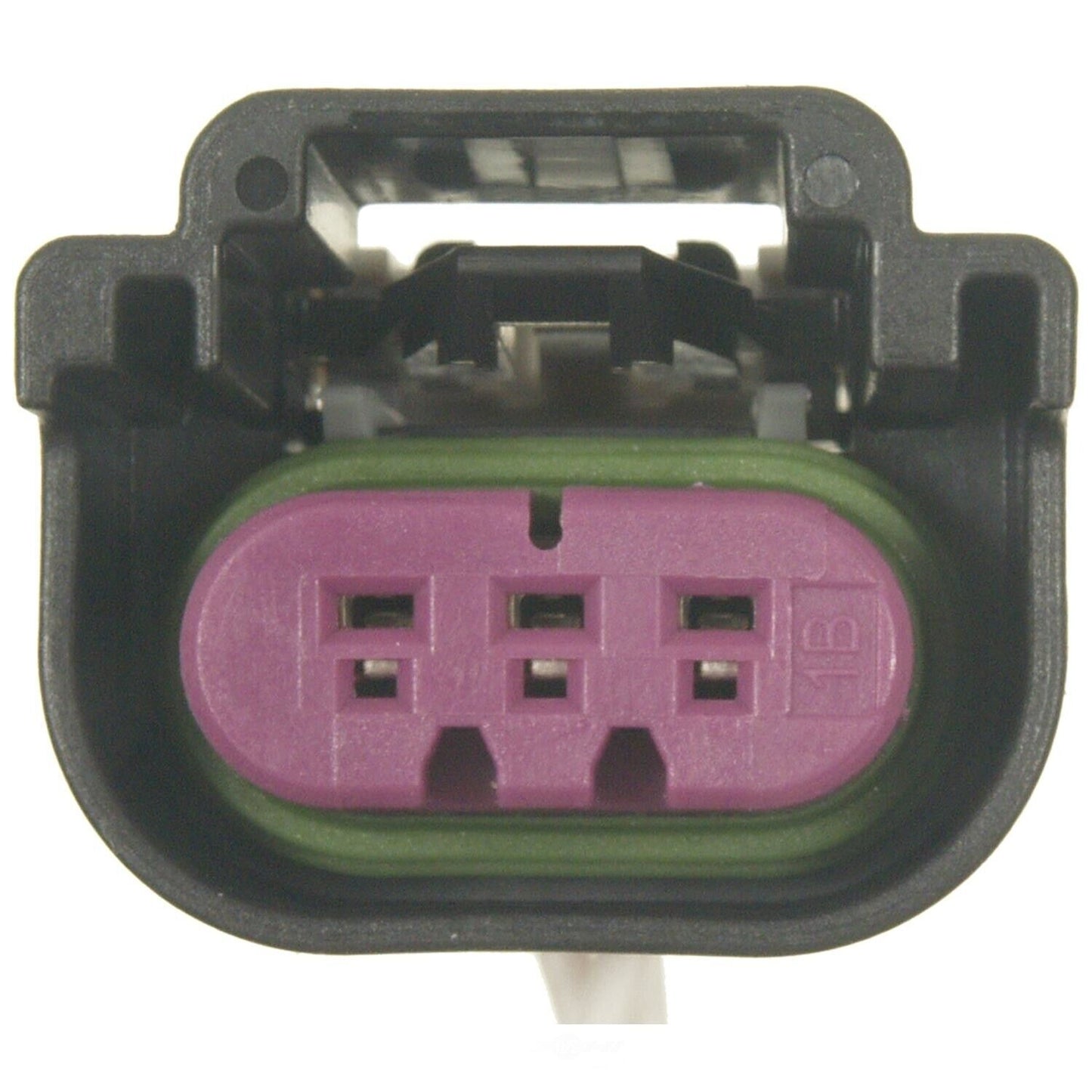 BWD PT989 Electrical Pigtail