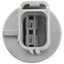 BWD PT2055 Back Up Light Socket