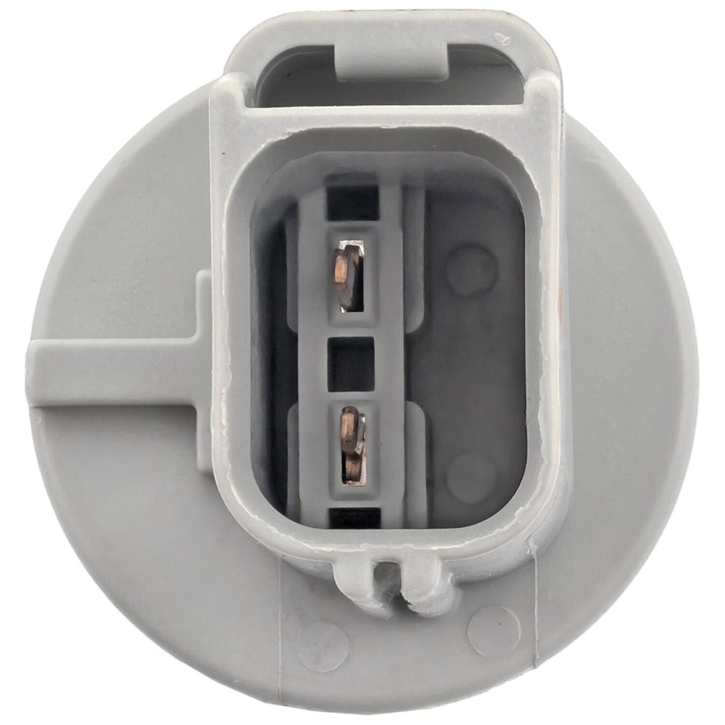 BWD PT2055 Back Up Light Socket
