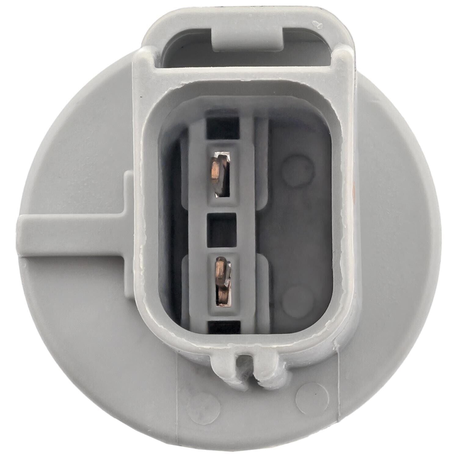 BWD PT2055 Back Up Light Socket