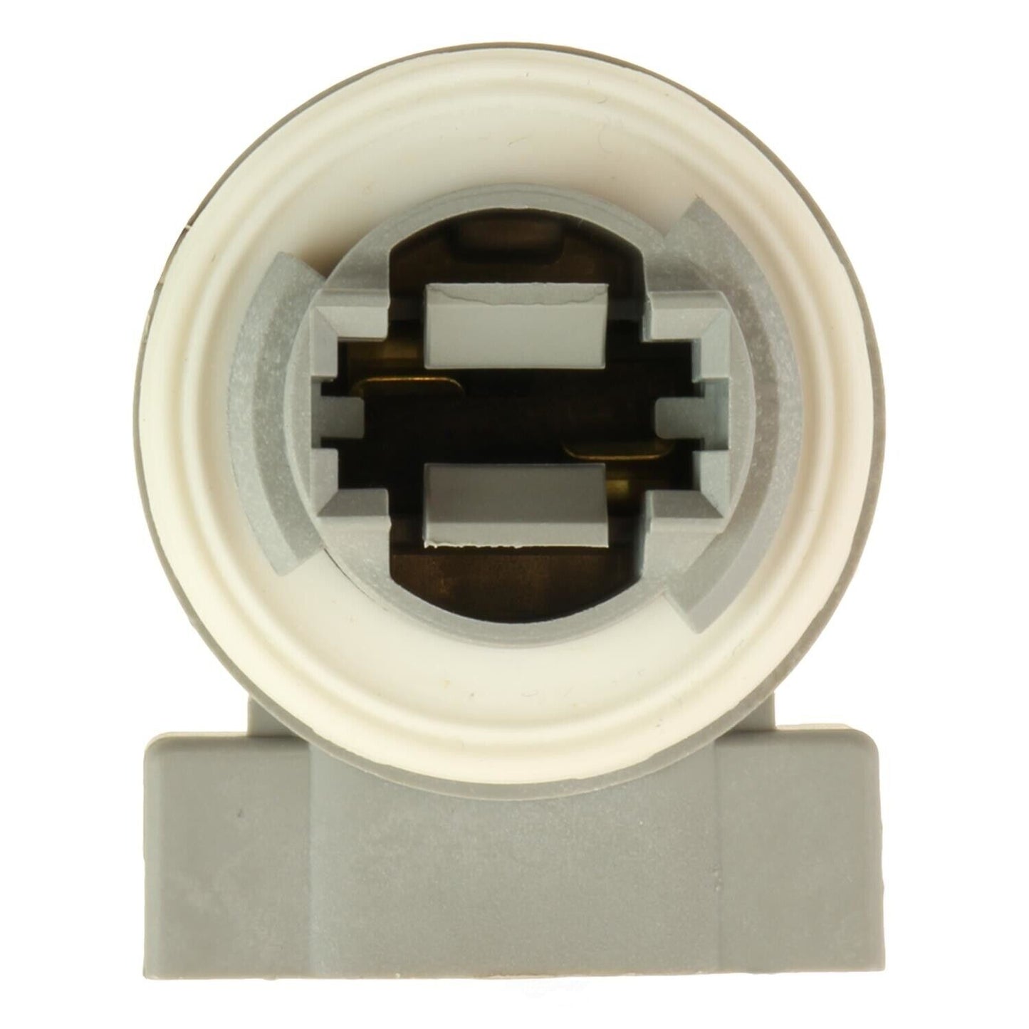 BWD PT2341 Cornering Light Socket