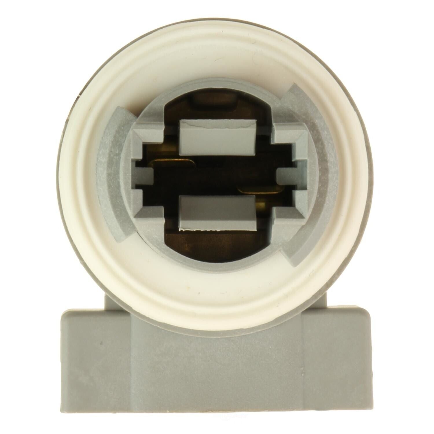 BWD PT2341 Cornering Light Socket