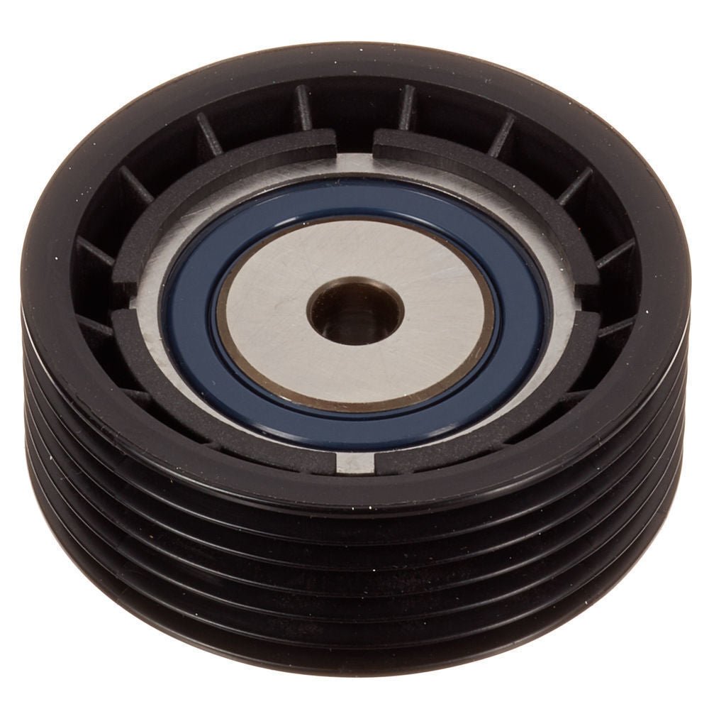 INA FP01461 Accessory Drive Belt Idler Pulley