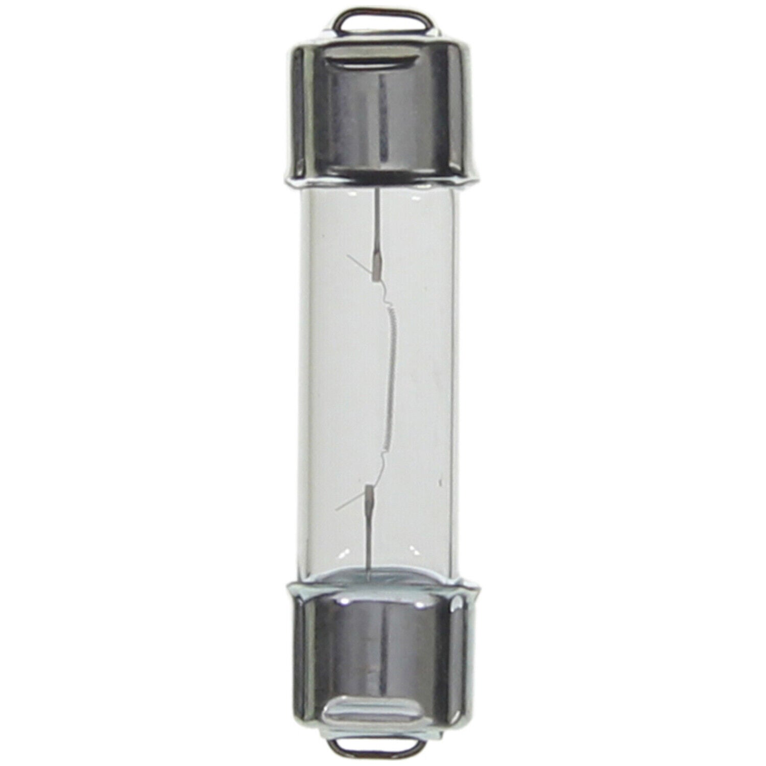 Wagner BP211-2 Dome Light Bulb