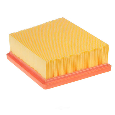 ACDelco Advantage A3625CA Air Filter