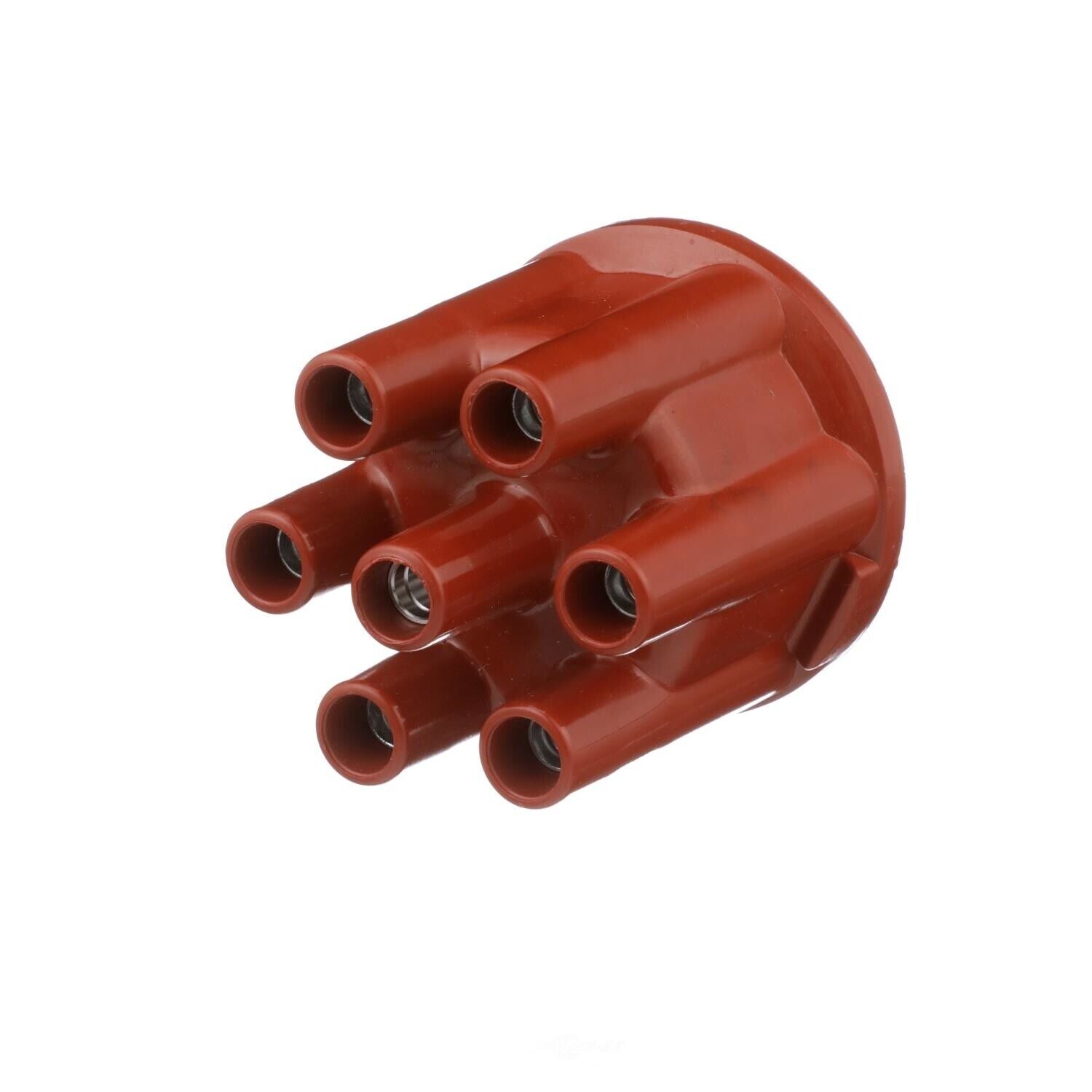 BWD C562 Distributor Cap