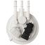 Spectra Premium Industries Inc SP446M Fuel Pump Module Assembly