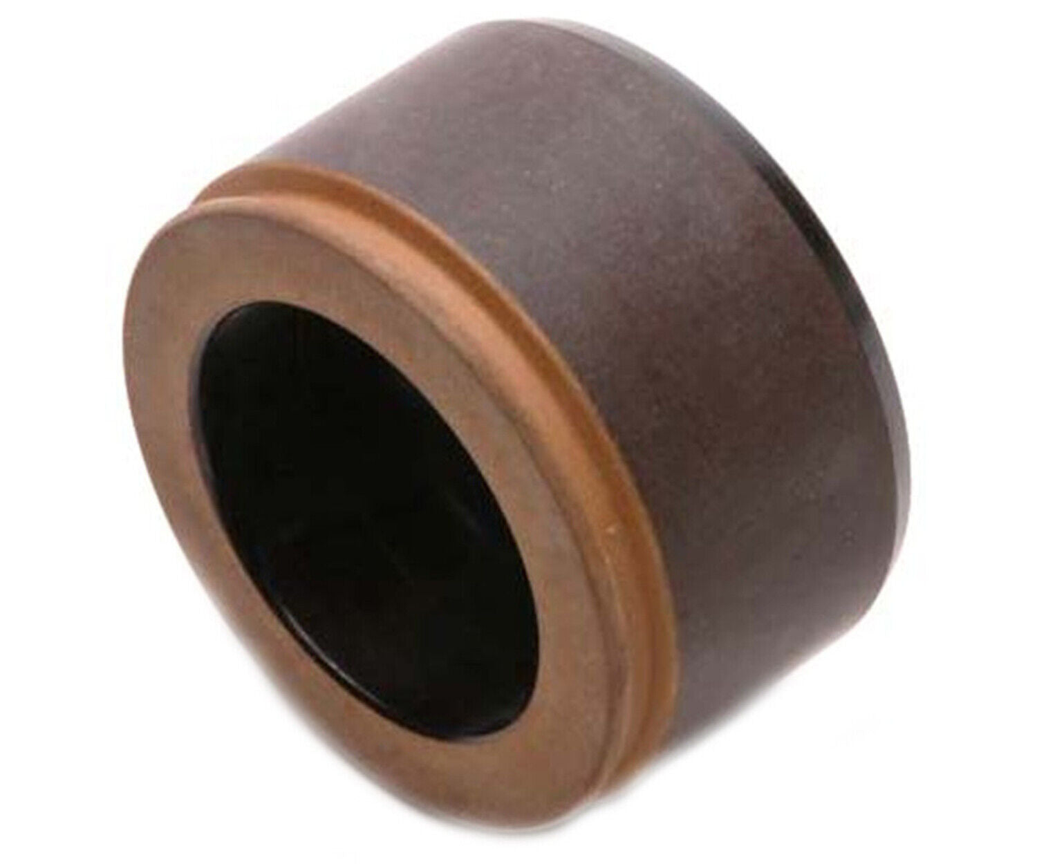 Raybestos DP85020 Disc Brake Caliper Piston