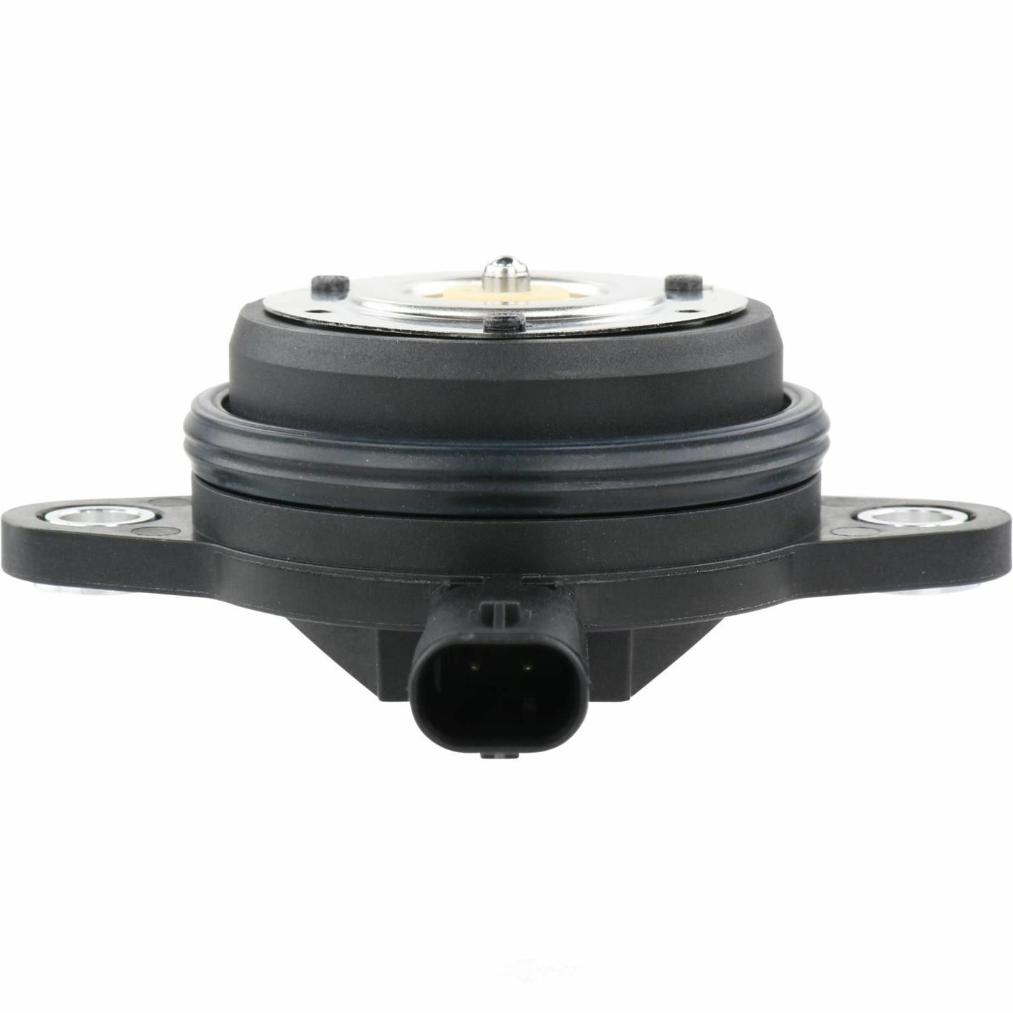 BWD VV1373 Engine Variable Valve Timing (VVT) Adjuster Magnet