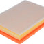 Fram CA12260 Air Filter