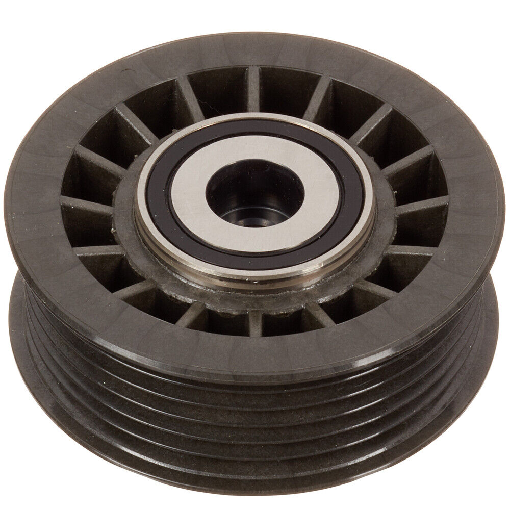 INA 532 0025 100 Accessory Drive Belt Idler Assembly