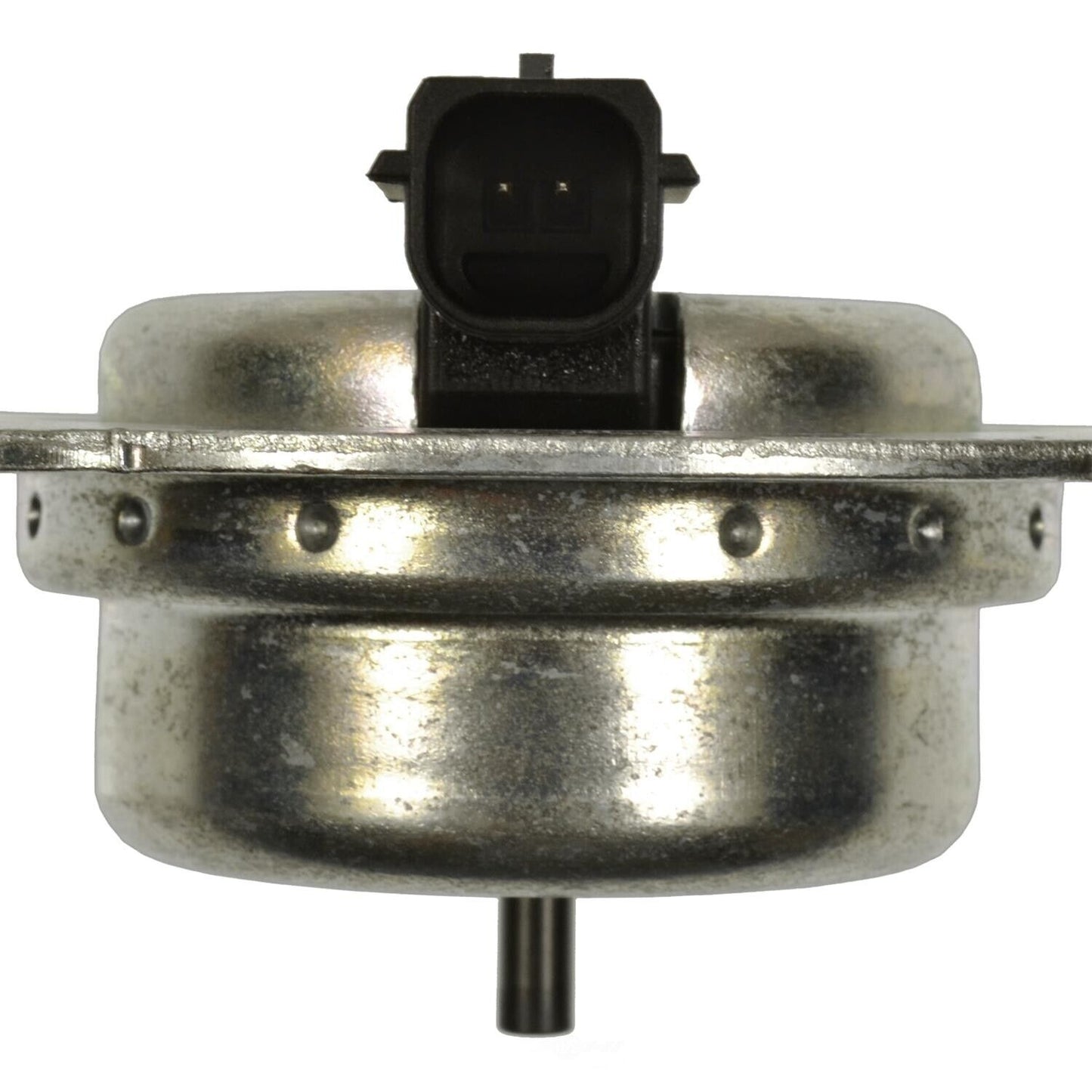 BWD VV1276 Engine Variable Valve Timing (VVT) Adjuster Magnet