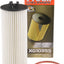 Fram XG10955 Engine Oil Filter