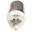 Delphi FE0113 Electric Fuel Pump