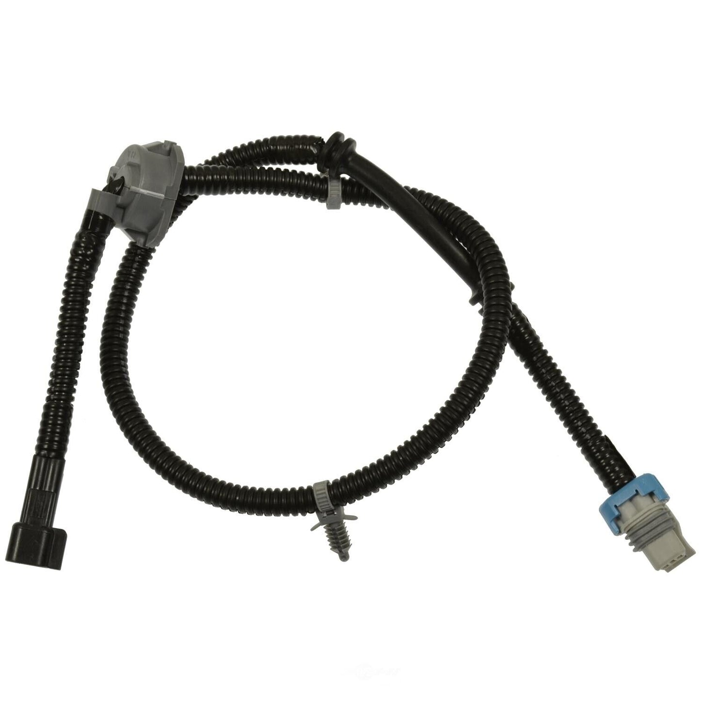 BWD ABH179 ABS Wheel Speed Sensor Wiring Harness