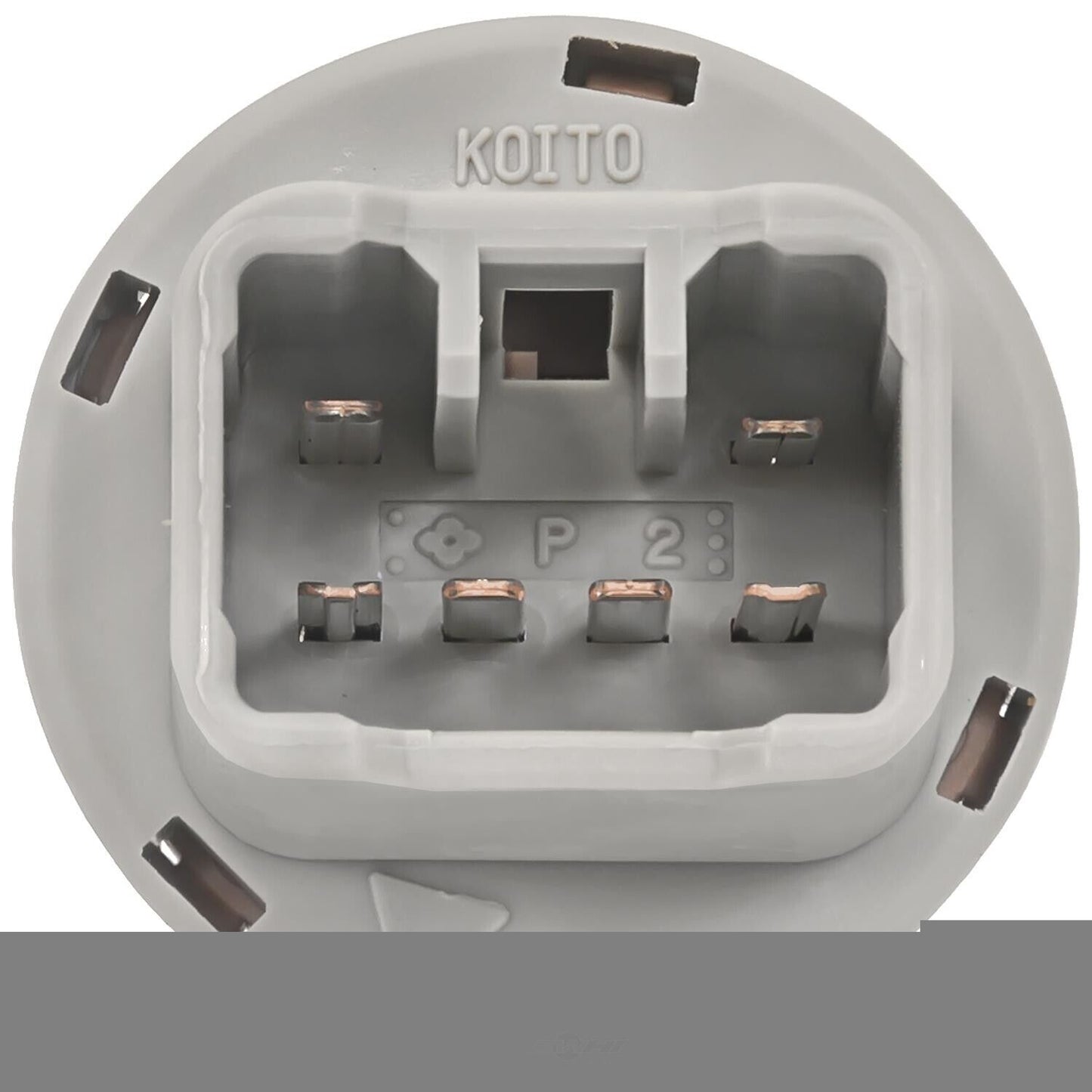 BWD PT2583 Brake Light Socket