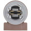 BWD PT2589 Turn Signal Light Socket