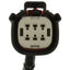 BWD PAN13 Park Assist Camera