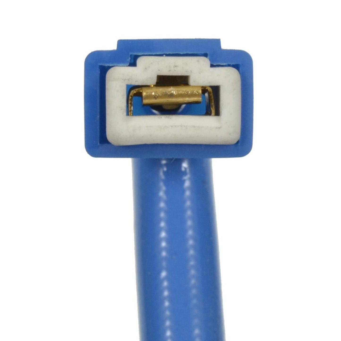BWD WHL110 Headlight Wiring Harness