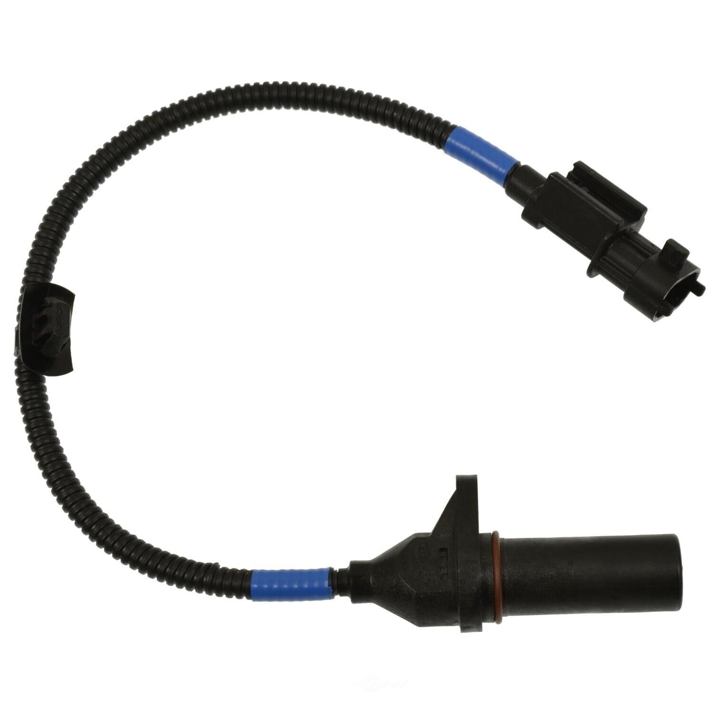 BWD CSS2021 Engine Crankshaft Position Sensor