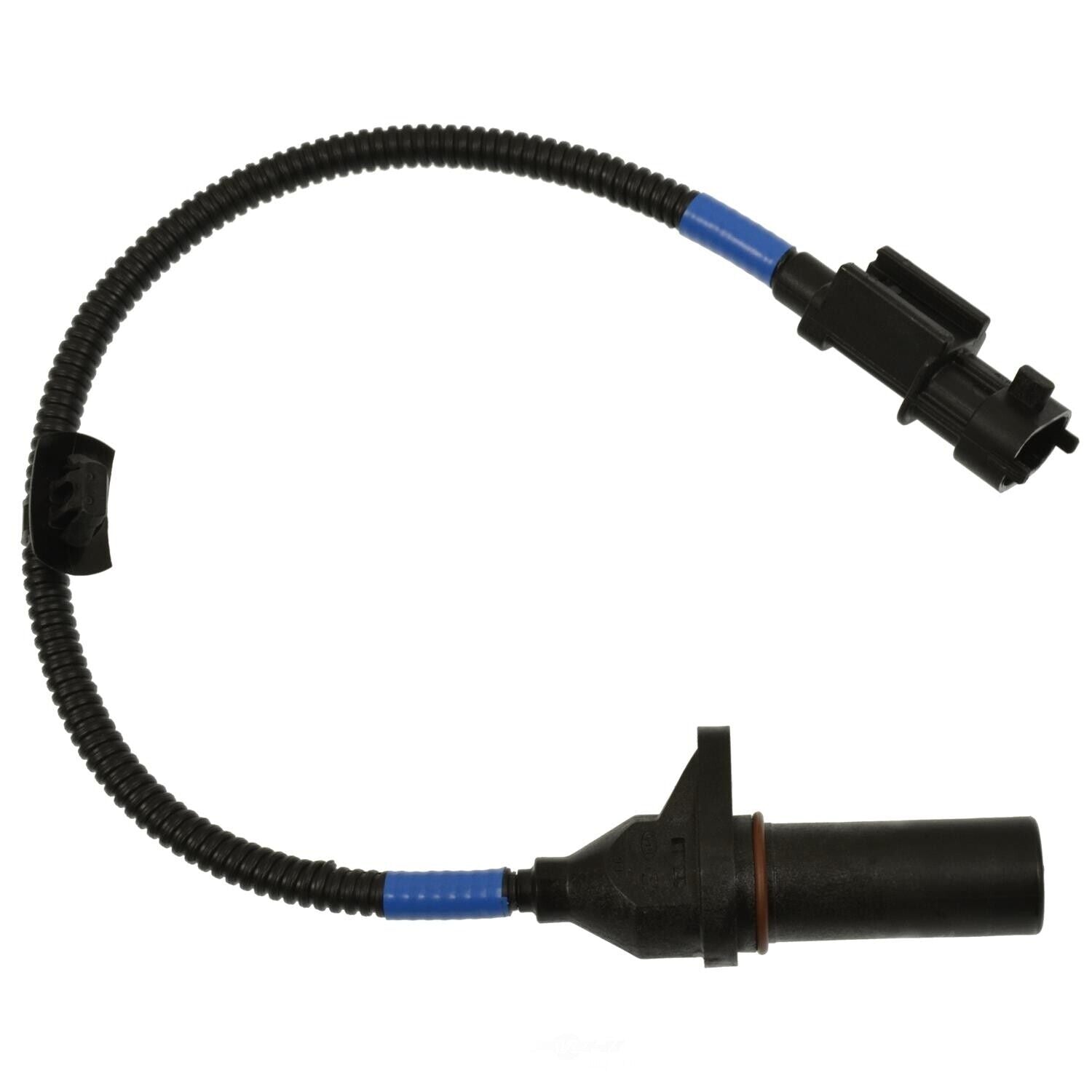 BWD CSS2021 Engine Crankshaft Position Sensor