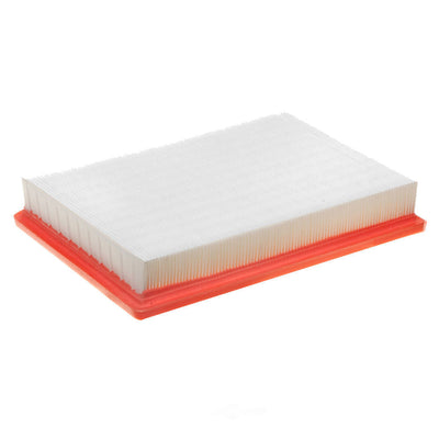 ACDelco Advantage A2936CA Air Filter