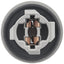 BWD PT2055 Back Up Light Socket